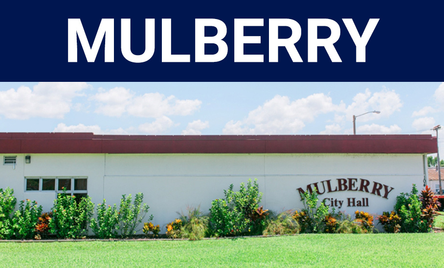 mulberry real estate company florida