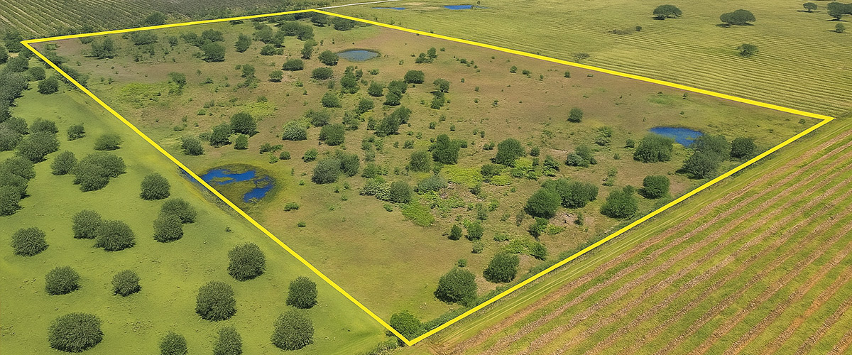 Steps to Sell Part of Your Land