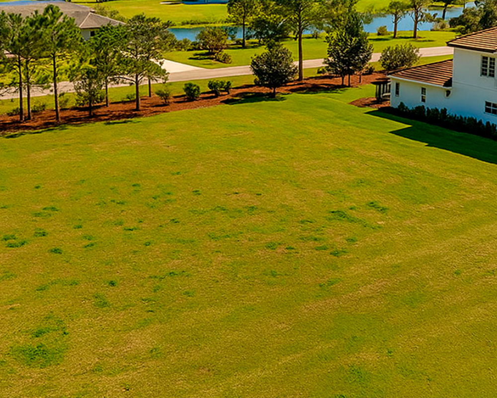 Sell Your Land in Auburndale